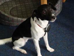 Resize of DSC05524.JPG